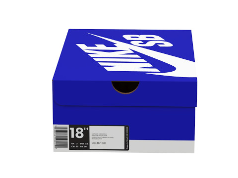 Nike Shoe Box 12 3D Model