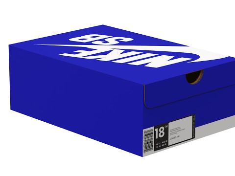 Nike Shoe Box 12 3D Model