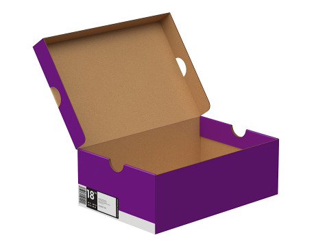 Nike Shoe Box 13 Model 3D