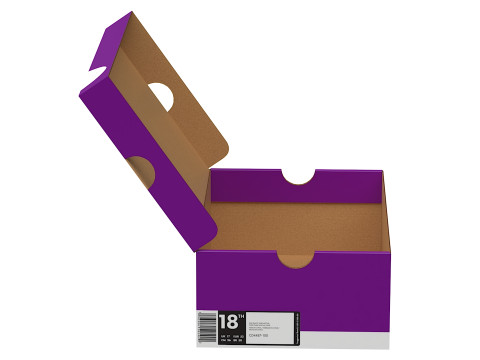Nike Shoe Box 13 Model 3D