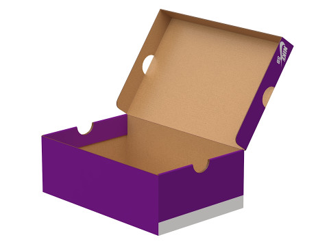 Nike Shoe Box 13 Model 3D
