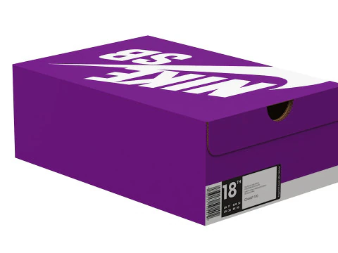 Nike Shoe Box 13 3D Model
