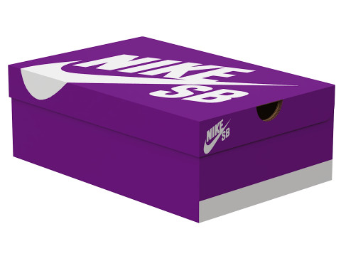 Nike Shoe Box 13 Model 3D