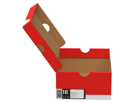 Nike Shoe Box 14 Modelo 3D