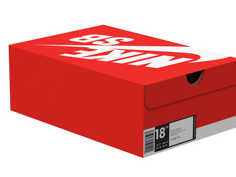 Nike Shoe Box 14 Modelo 3D