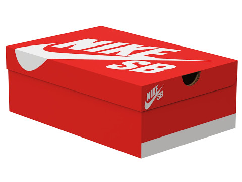 Nike Shoe Box 14 Modelo 3D