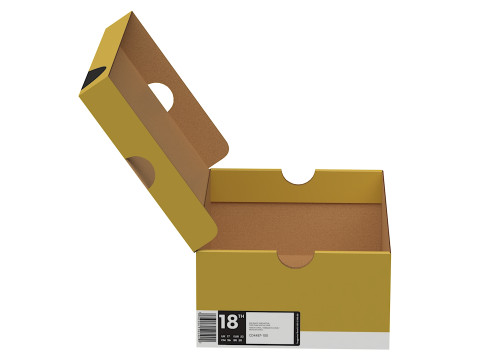 Nike Shoe Box 15 3D मॉडल