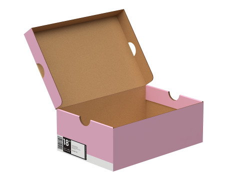 Nike Shoe Box 16 Modèle 3D