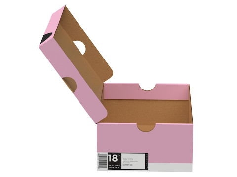 Nike Shoe Box 16 Modèle 3D