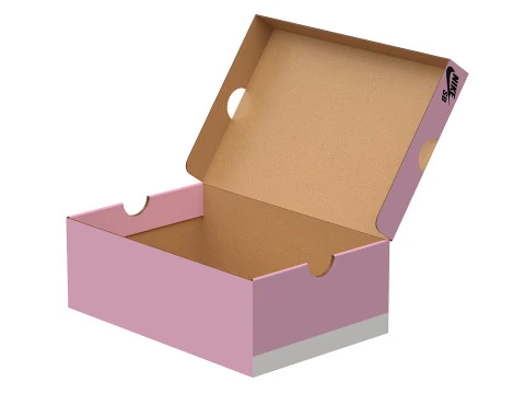 Nike Shoe Box 16 3D Model
