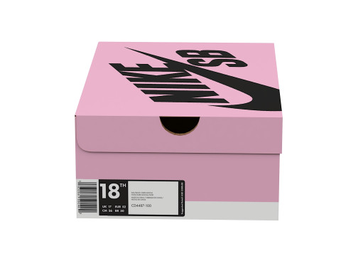 Nike Shoe Box 16 Modèle 3D