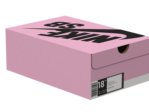 Nike Shoe Box 16 Modèle 3D