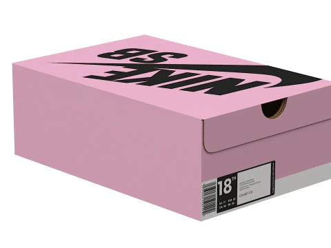 Nike Shoe Box 16 3D Model