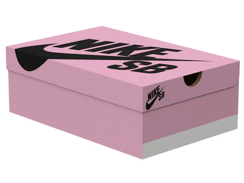 Nike Shoe Box 16 3D Model