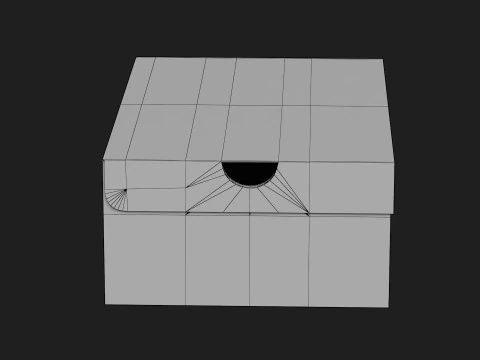 Nike Shoe Box 16 3D Model