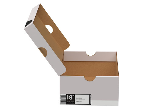 Nike Shoe Box 17 3D Modell