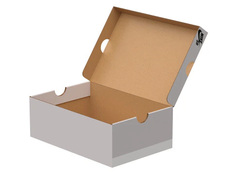 Nike Shoe Box 17 3D Model