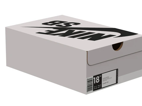 Nike Shoe Box 17 3D Model