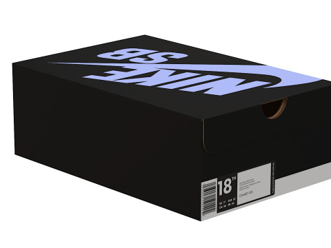 Nike Shoe Box 18 3D मॉडल