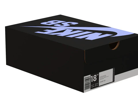 Nike Shoe Box 18 3D Model