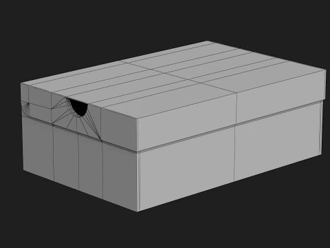 Nike Shoe Box 18 3D Model