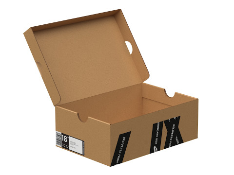 Nike Shoe Box 20 3D Model