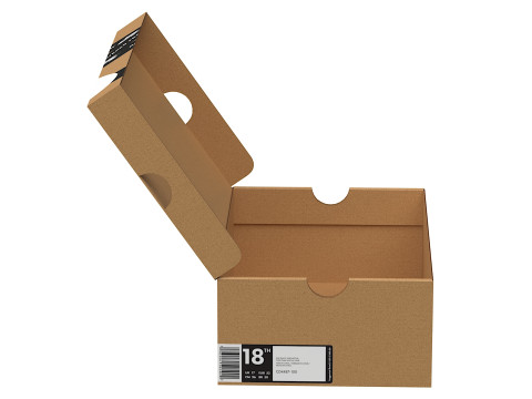 Nike Shoe Box 20 3D Model