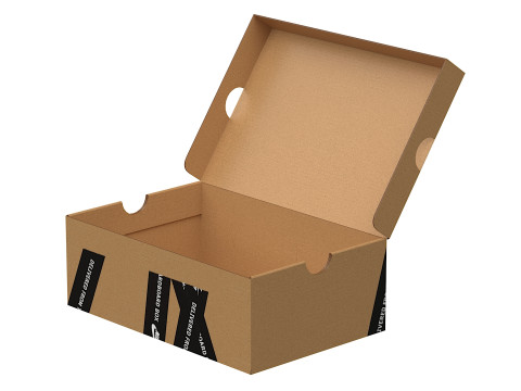 Nike Shoe Box 20 3D Model
