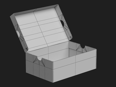 Nike Shoe Box 20 3D Model