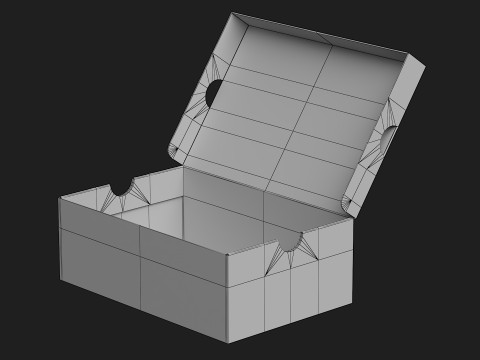 Nike Shoe Box 20 3D Model