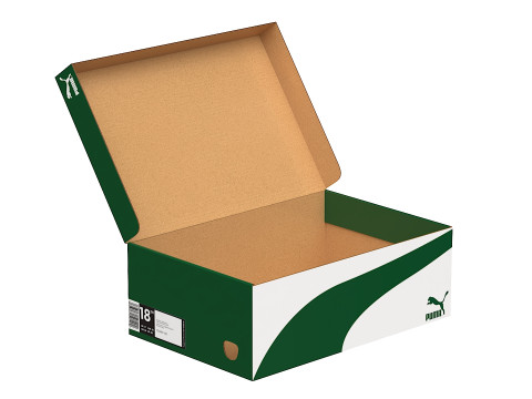 Puma Shoe Box 01 3D Model