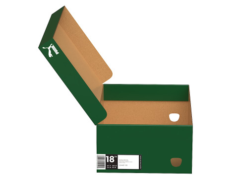 Puma Shoe Box 01 3D Model