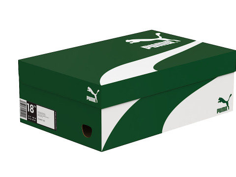 Puma Shoe Box 01 3D Model
