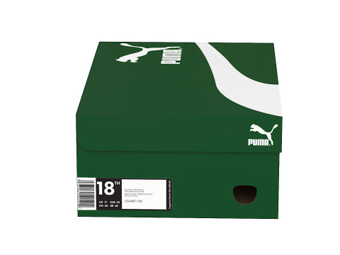Puma Shoe Box 01 3D Model