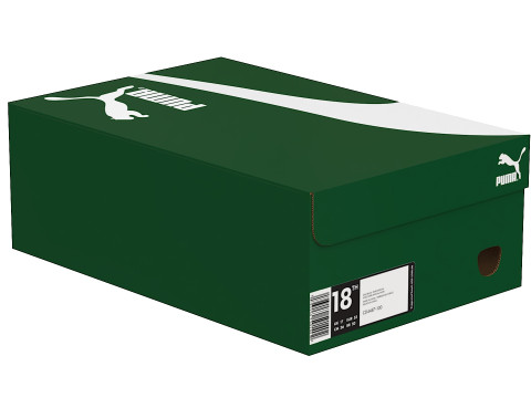 Puma Shoe Box 01 3D Model