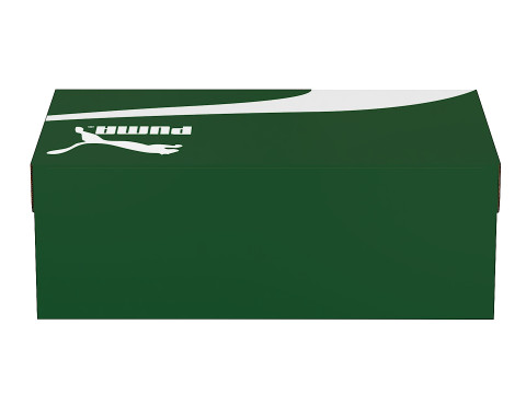 Puma Shoe Box 01 3D Model