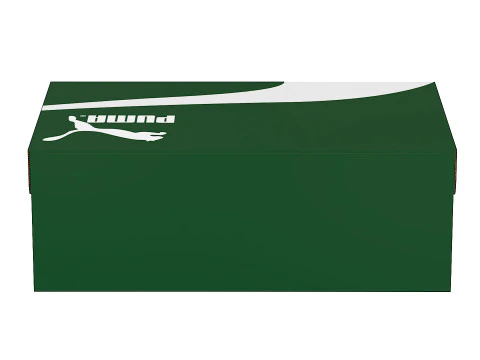 Puma Shoe Box 01 3D Model