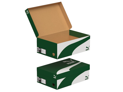 Puma Shoe Box 01 3D Model
