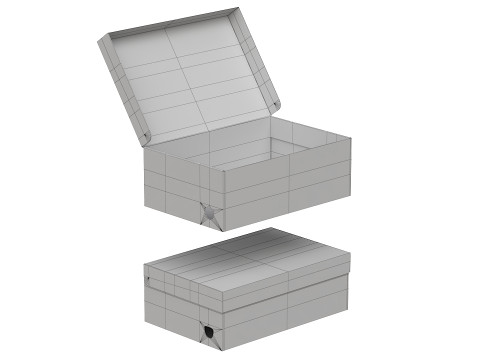 Puma Shoe Box 01 3D Model
