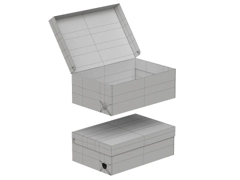 Puma Shoe Box 01 3D Model