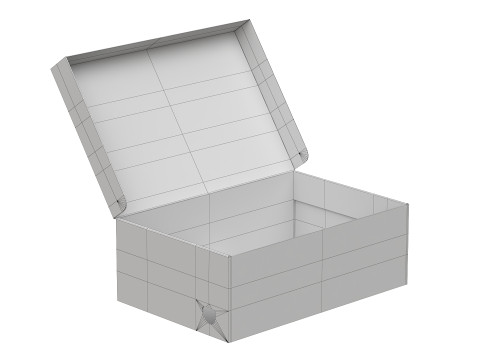 Puma Shoe Box 01 3D Model