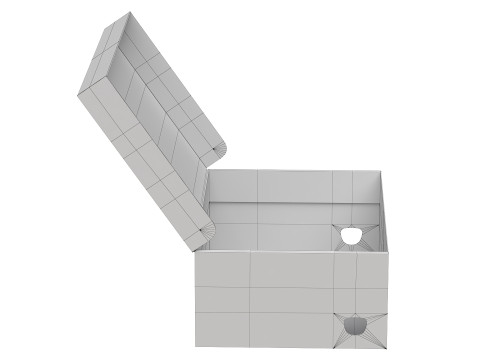 Puma Shoe Box 01 3D Model