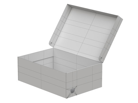 Puma Shoe Box 01 3D Model