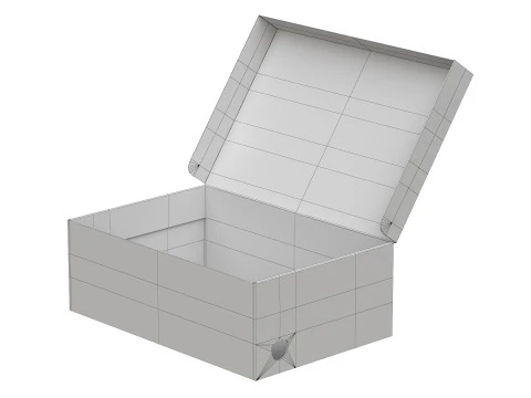 Puma Shoe Box 01 3D Model
