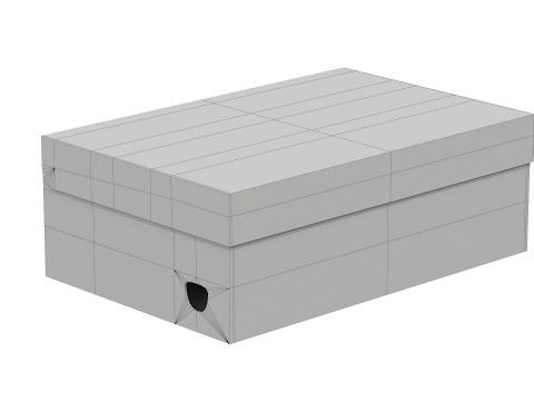 Puma Shoe Box 01 3D Model