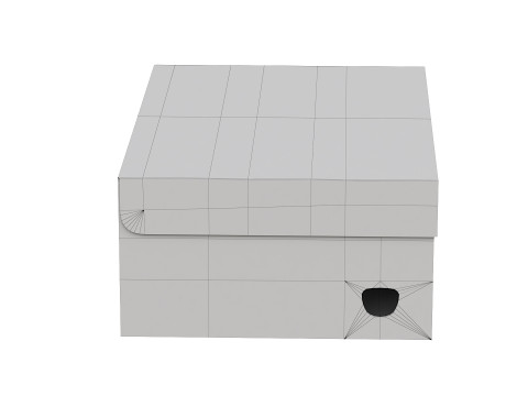 Puma Shoe Box 01 3D Model