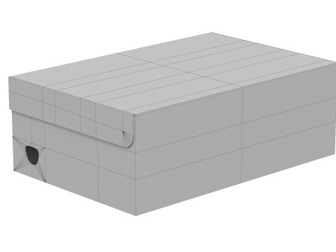 Puma Shoe Box 01 3D Model