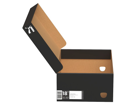 Puma Shoe Box 02 Modello 3D