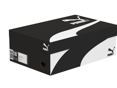 Puma Shoe Box 02 Modello 3D