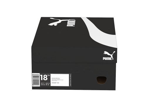 Puma Shoe Box 02 Modello 3D